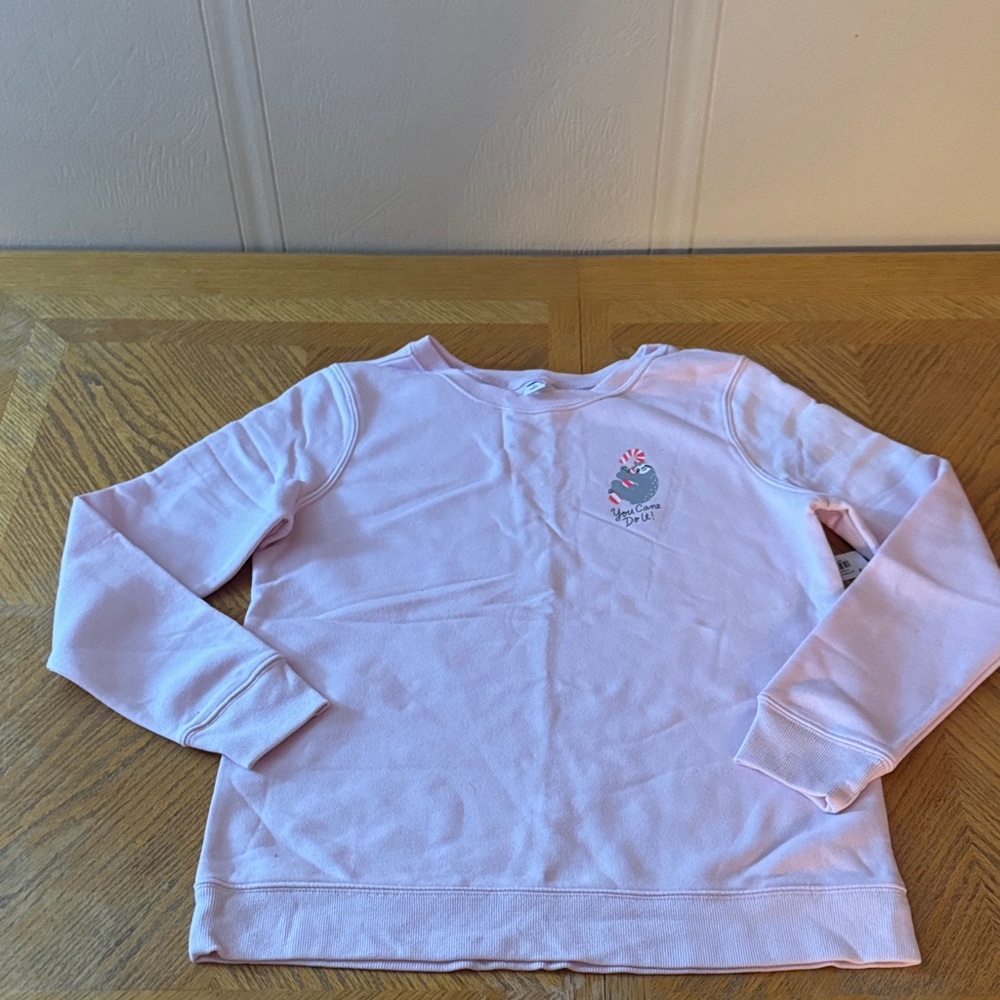 Cute Sloth Graphic Sweatshirt